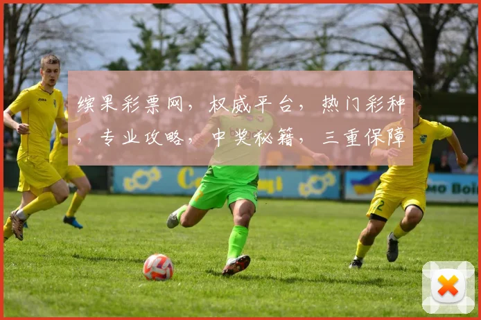 缤果彩票网，权威平台，热门彩种，专业攻略，中奖秘籍，三重保障，体验非凡